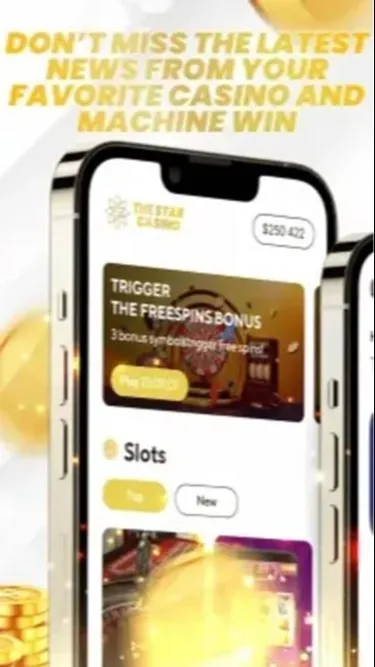 Star Casino Screenshot